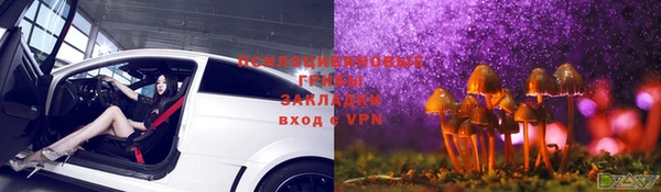 ПСИЛОЦИБИНОВЫЕ ГРИБЫ Тында